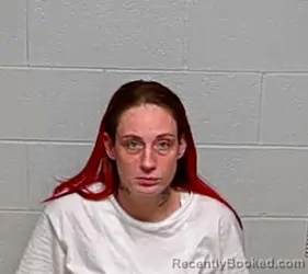 Mugshot of BRITTANY M HYC booked in Lake County, Illinois on April 24, 2026
