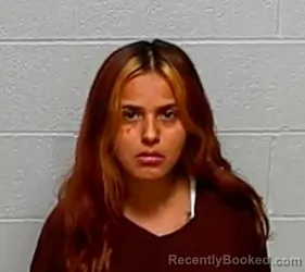 Mugshot of Evelyn C Gonzalez booked in Lake County, Illinois on September 25, 2026