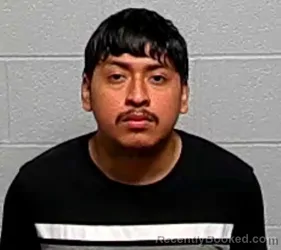 Mugshot of Luis D Sandoval booked in Lake County, Illinois on August 25, 2026