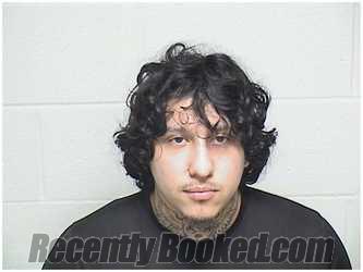 Booking photo from Lake County, Illinois