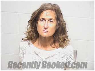 Booking photo from Lake County, Illinois