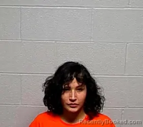 Mugshot of ALEXANDRA J MORALES booked in Lake County, Illinois on May 6, 2026