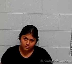 Mugshot of LUISA SANCHEZ booked in Lake County, Illinois on July 7, 2026