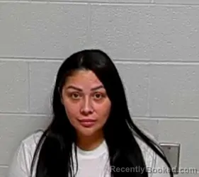 Mugshot of AMANDA S JIMENEZ booked in Lake County, Illinois on July 10, 2026