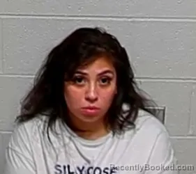 Mugshot of YESSENIA FAUDOA