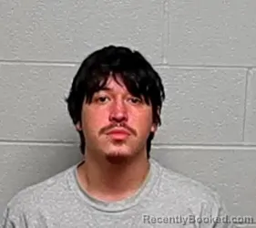 Mugshot of ALEXIS G BUSTOS booked in Lake County, Illinois on March 11, 2026