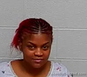 Mugshot of SHANIA S BROWN booked in Lake County, Illinois on March 20, 2026