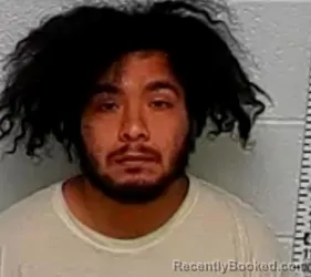 Mugshot of ADRIAN PARRALES booked in Lake County, Illinois on March 25, 2026