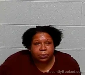 Mugshot of REBECCA K HURNDON booked in Lake County, Illinois on July 8, 2026