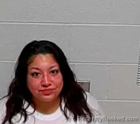 Mugshot of JISSELLE LOPEZ booked in Lake County, Illinois on March 13, 2026