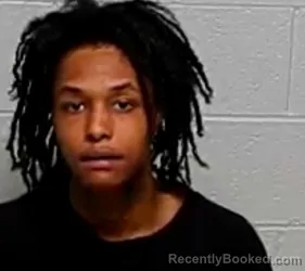 Mugshot of GUYAN BURNETT