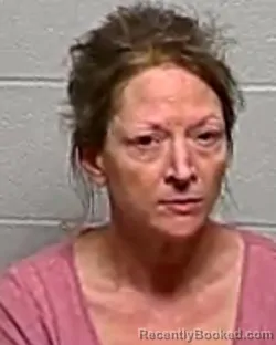 Mugshot of DONNA ROBINSON