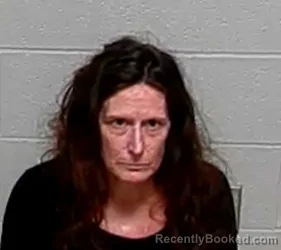 Mugshot of KELLY E SHEPARD booked in Lake County, Illinois on June 25, 2026