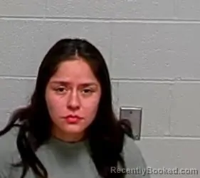 Mugshot of ALYSSA BRIANN ROGEL booked in Lake County, Illinois on March 13, 2026