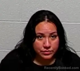 Mugshot of DIANA BARRERA