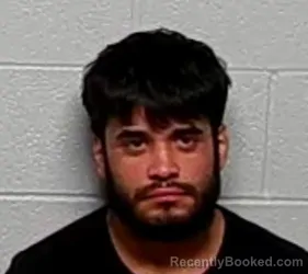 Mugshot of SERGIO A HERNANDEZ booked in Lake County, Illinois on March 20, 2026