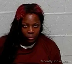 Booking photo from Lake County, Illinois