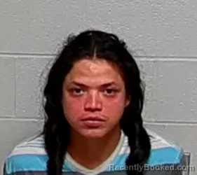 Booking photo from Lake County, Illinois