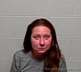 Booking photo from Lake County, Illinois