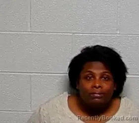 Booking photo from Lake County, Illinois