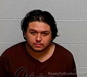 Mugshot of JULIAN DIAZ