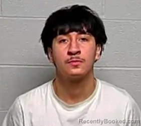 Mugshot of EDWIN ROMAN