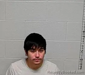 Mugshot of DAVID GOMEZ-ROBLES