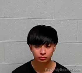 Mugshot of ELIAS CARBALLIDO