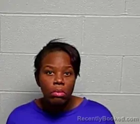 Mugshot of KIMBERLY T STARKS