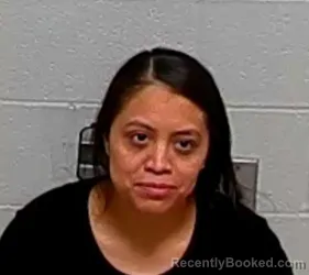 Mugshot of TERESA MORALES-FLORES