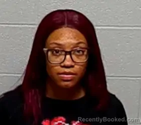 Booking photo from Lake County, Illinois