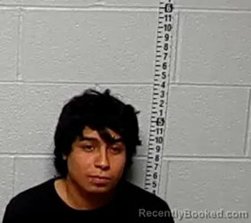 Mugshot of ADOLFO A ARTEAGA-CATALAN