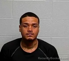 Booking photo from Lake County, Illinois