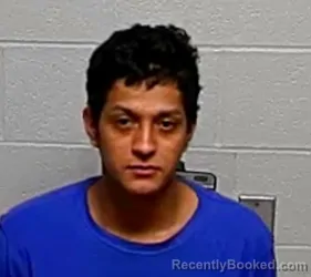 Booking photo from Lake County, Illinois