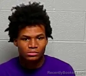 Mugshot of ALISE JACKSON