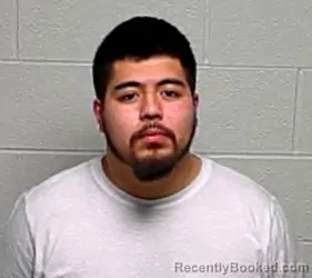 Mugshot of SALVADOR SOLIS-GAMBOA booked in Lake County, Illinois on March 10, 2026