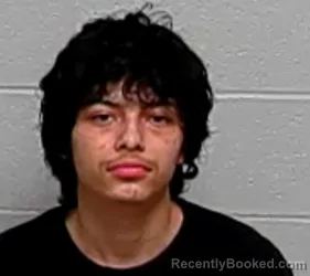 Mugshot of DIEGO E ZAVALA booked in Lake County, Illinois on March 10, 2026