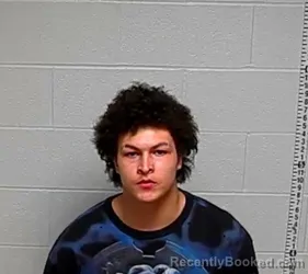 Mugshot of DENNIS D REID booked in Lake County, Illinois on March 10, 2026