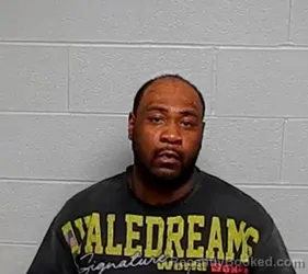 Mugshot of ARMANI D PERKINS booked in Lake County, Illinois on March 10, 2026