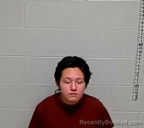 Mugshot of ALYIAH T LAFORGE booked in Lake County, Illinois on March 10, 2026