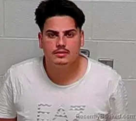 Mugshot of ALEXANDRU TRANDAFIR booked in Lake County, Illinois on March 13, 2026