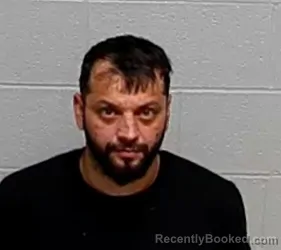 Mugshot of STRUGUREL MUNTEAN booked in Lake County, Illinois on March 13, 2026