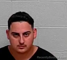 Mugshot of FLORIN GHIOCEL booked in Lake County, Illinois on March 13, 2026