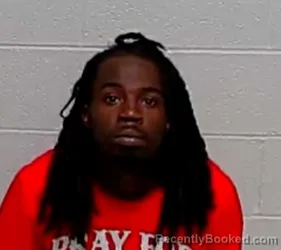 Mugshot of FRANK WELLS booked in Lake County, Illinois on March 20, 2026