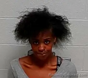 Mugshot of ARINIAN E FLOURNOY booked in Lake County, Illinois on March 20, 2026