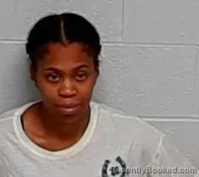 Mugshot of MICHELLE P PERKINS booked in Lake County, Illinois on March 20, 2026