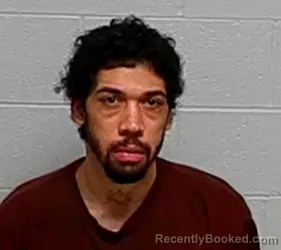 Mugshot of WILLIE J MCGEE booked in Lake County, Illinois on March 20, 2026