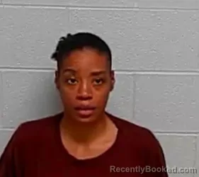 Mugshot of DOMINIQUE D SMITH booked in Lake County, Illinois on March 27, 2026