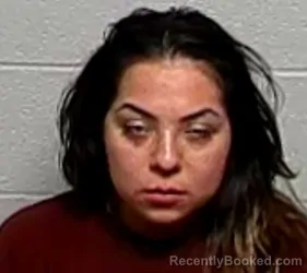 Mugshot of VANESSA SANCHEZ booked in Lake County, Illinois on March 29, 2026