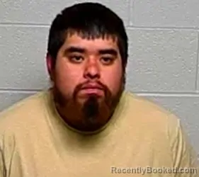 Mugshot of CARLOS RAMIREZ booked in Lake County, Illinois on March 29, 2026